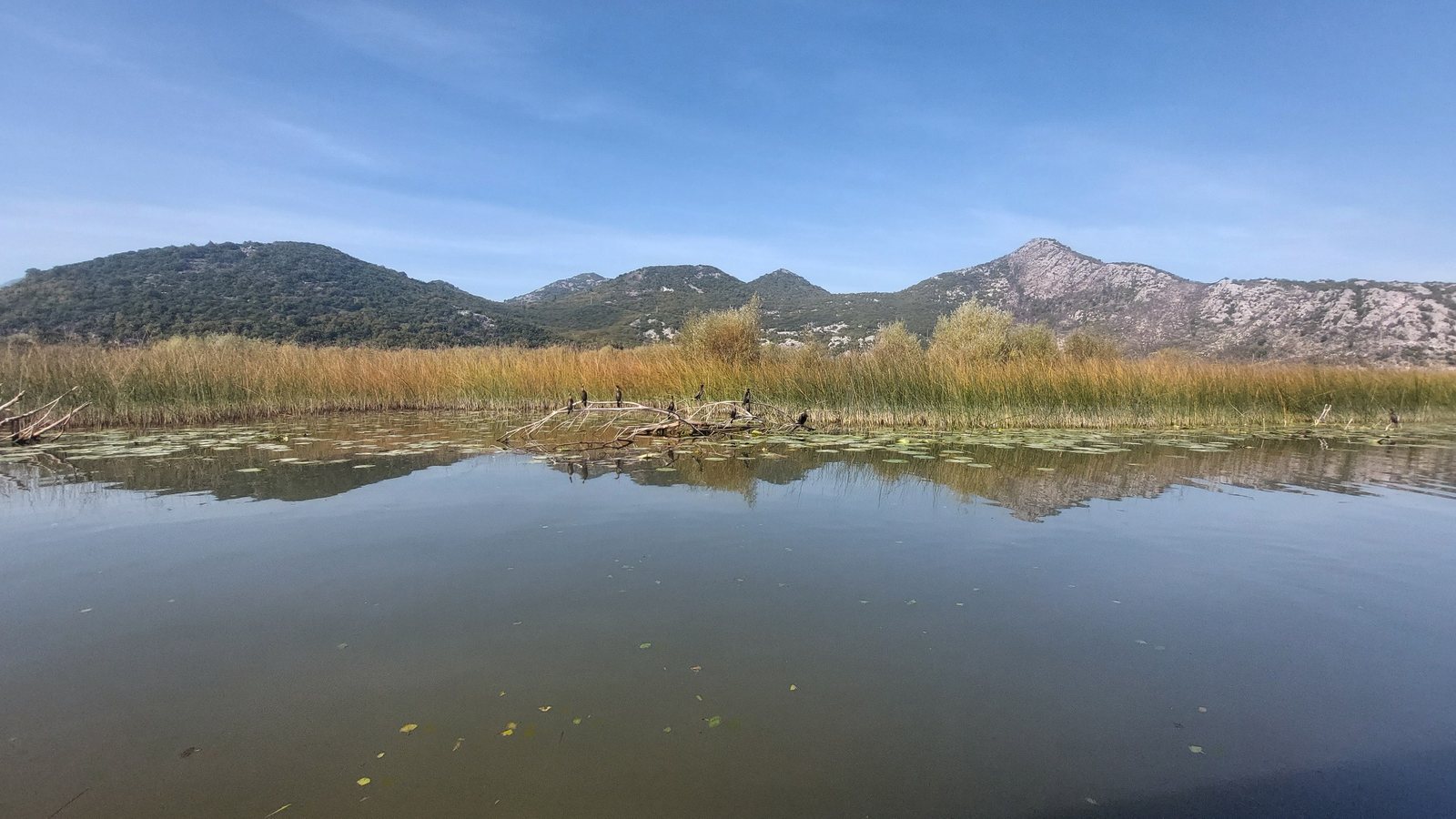Calm water and mountain landscape of Lake Skadar