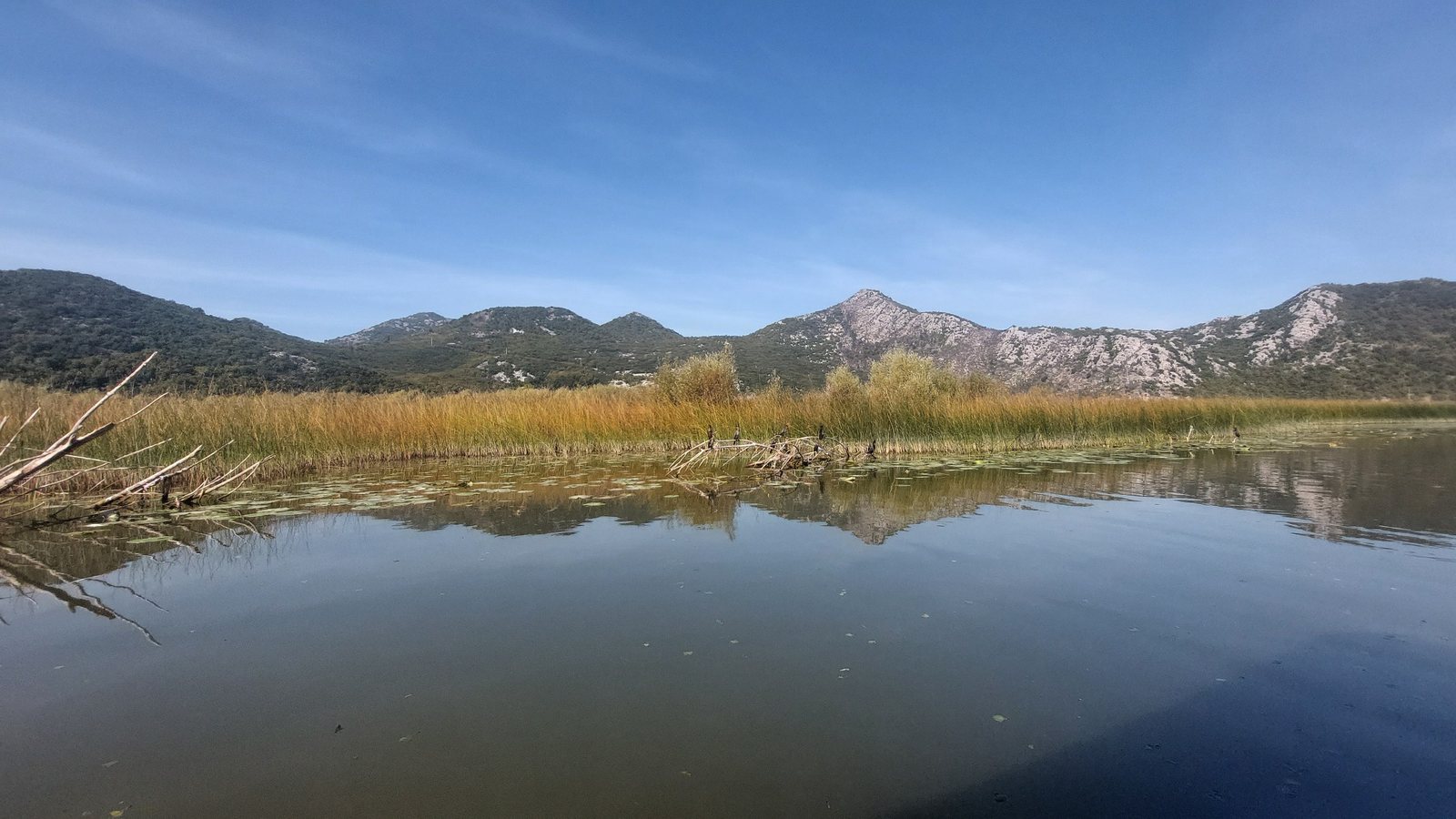 Wetlands and reeds on Lake Skadar
