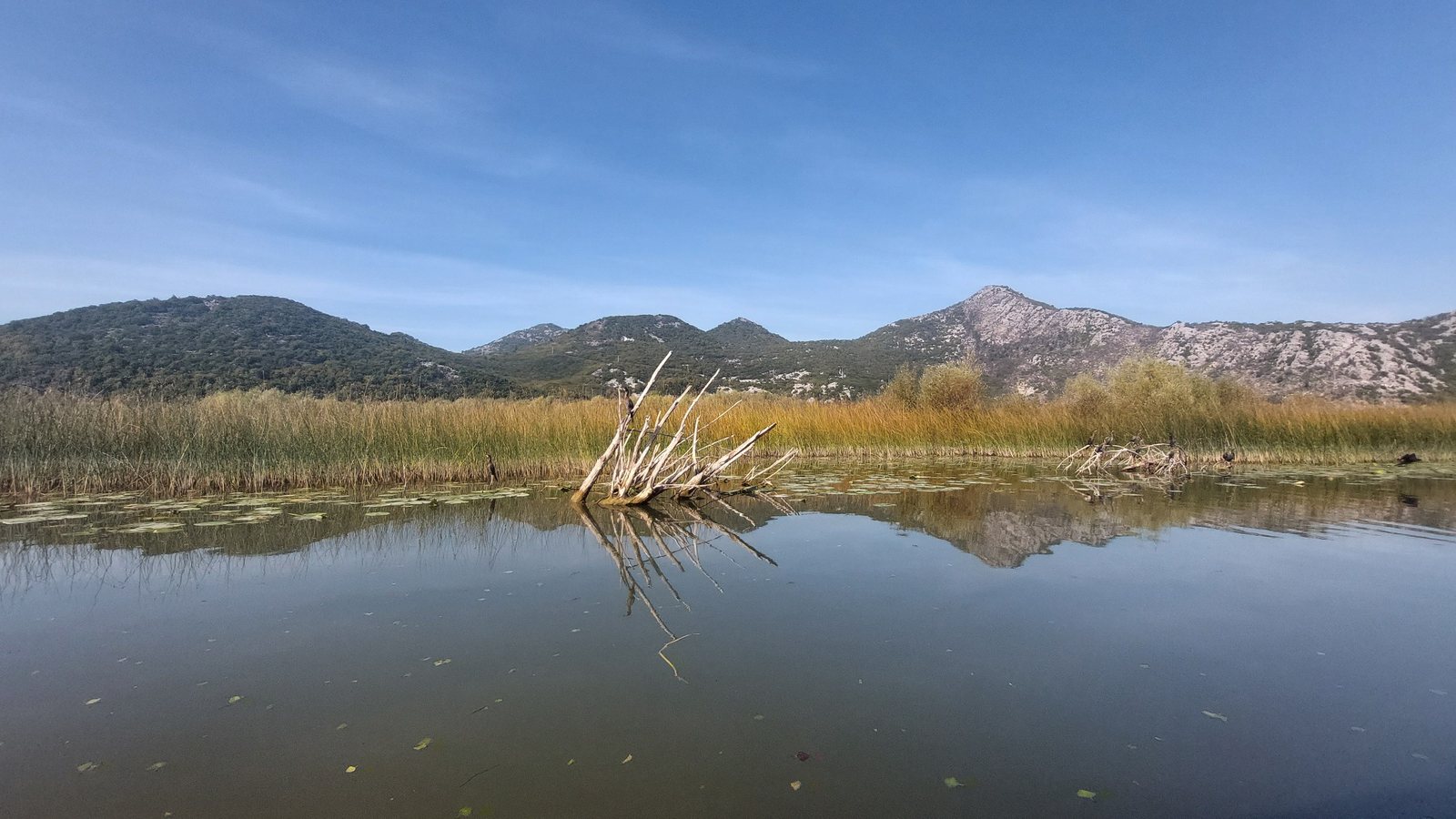 Mountain reflections and wetlands on Lake Skadar