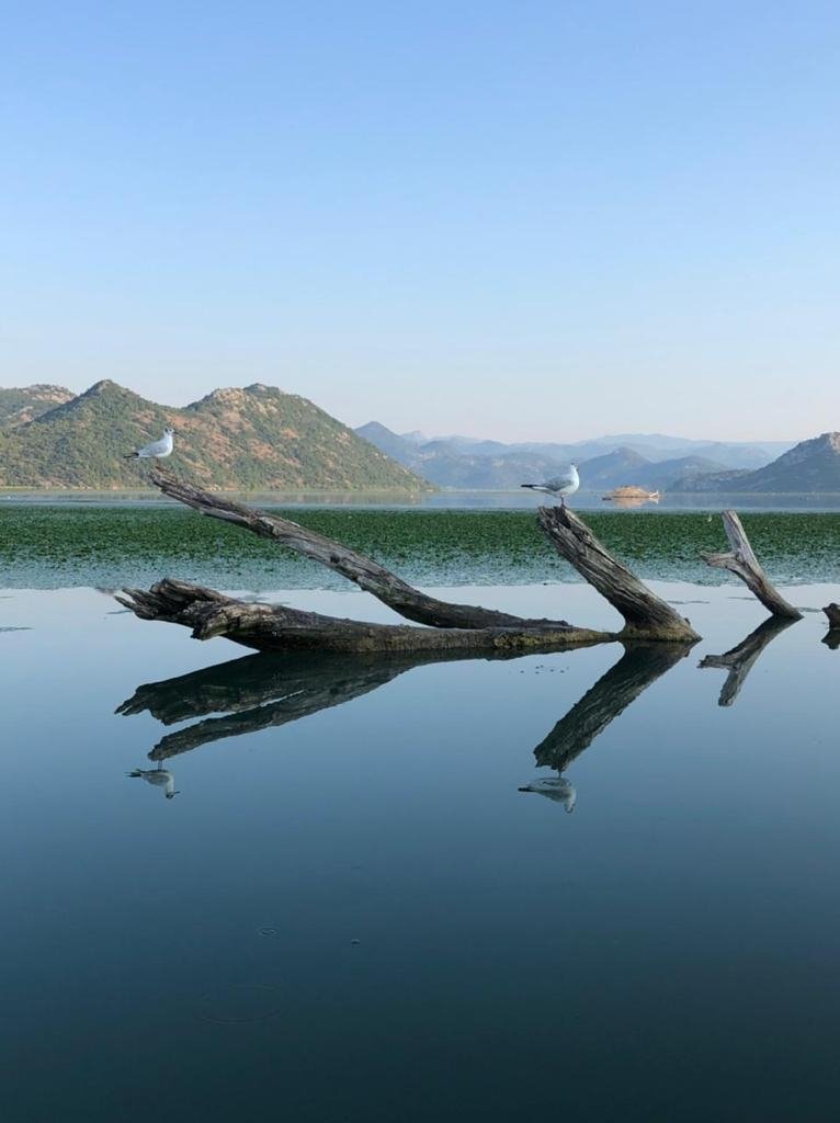Panoramic Lake Cruise